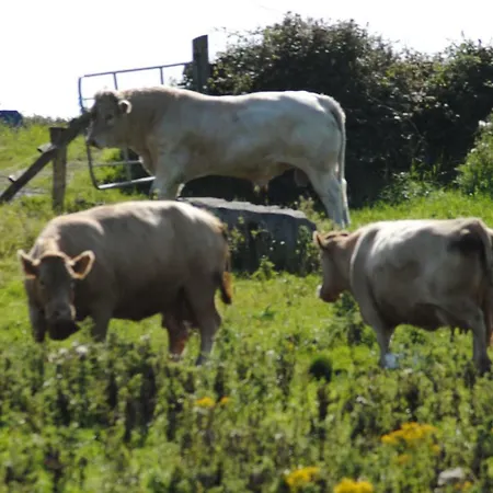 Heights Appartement Doolin