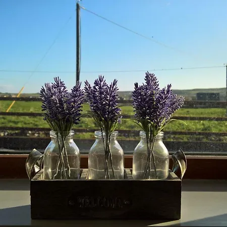 Heights Appartamento *