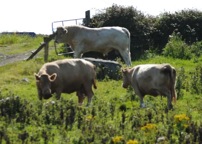 Heights Apartamento Doolin